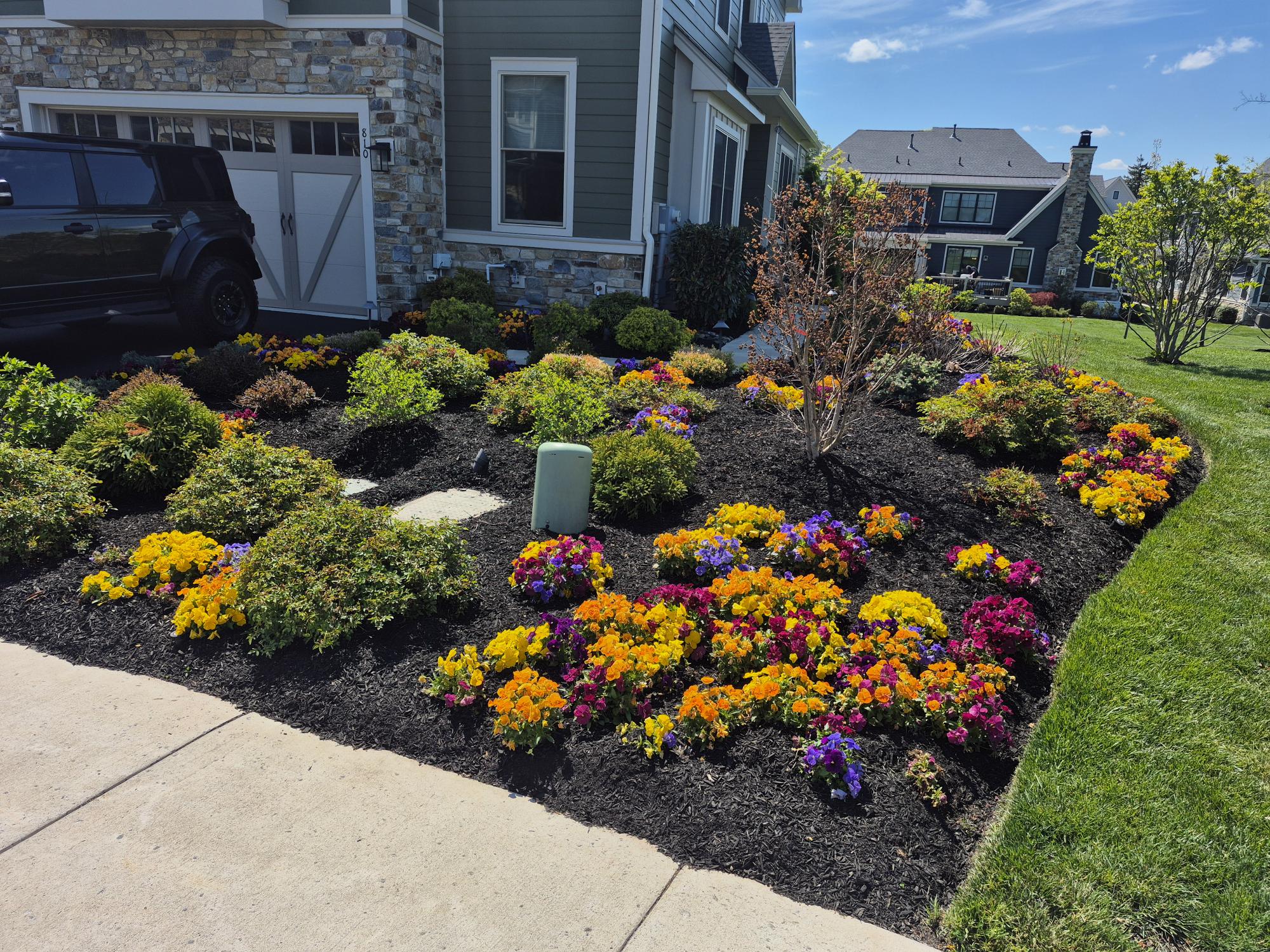 Vibrant landscape plantings