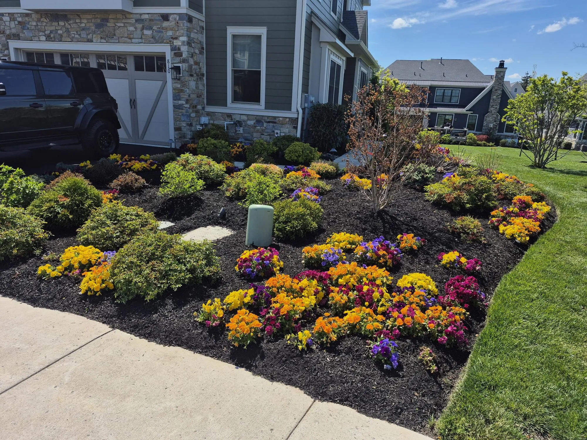 Vibrant landscape plantings