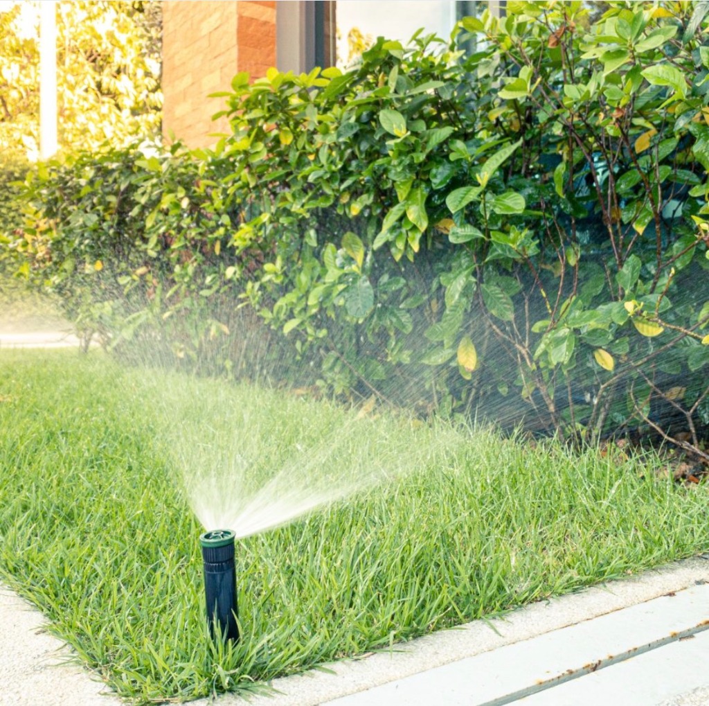 Landscape design and planting in Richboro PA
