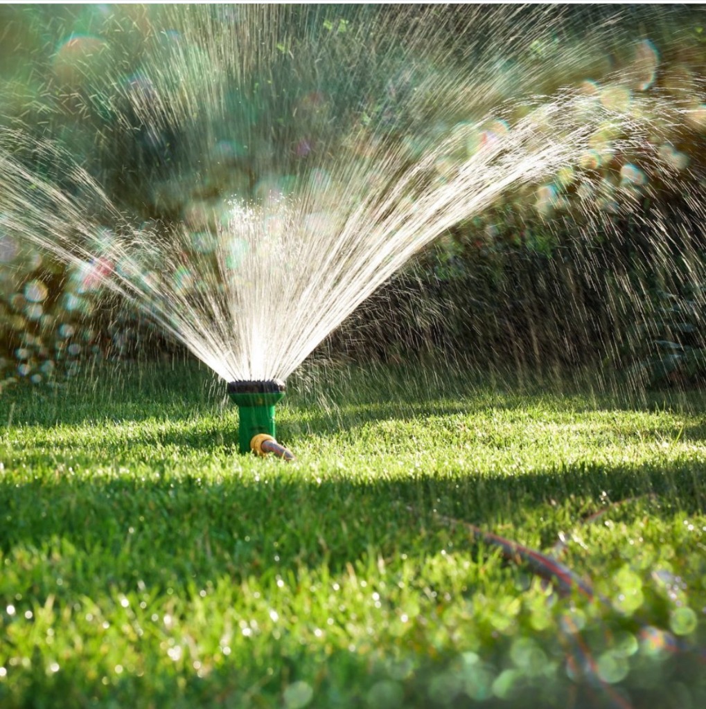Landscape design and planting in Warminster PA