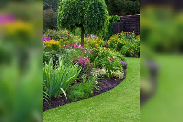 A flower bed with a tree and green grass.