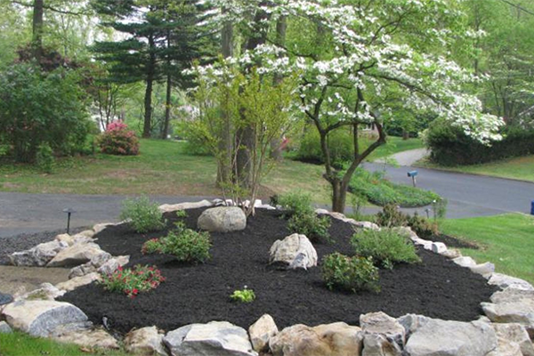 Landscaped garden with rocks and flowering trees.