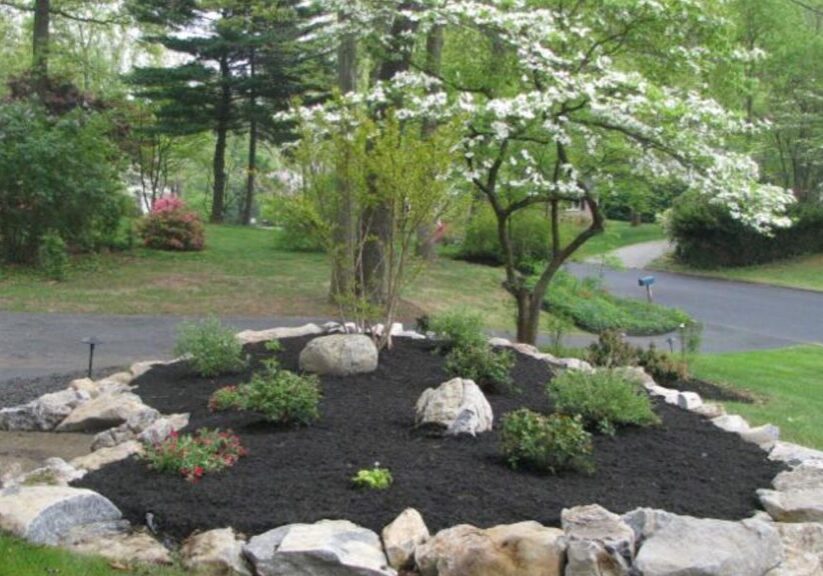 Landscaped yard with blooming dogwood tree.